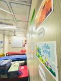 Ummah International School (15)